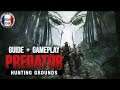 #PredatorHuntingGrounds : Gameplay commenté