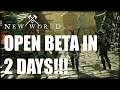 How To Sign Up For New World Open Beta
