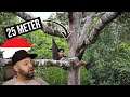 spend all day in the top of a tree *STRONG WIND!! Reaction | Indonesia Reaction | MR Halal Reacts