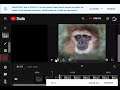 Working Hard on Editing Videos