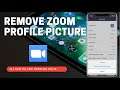 How To Remove Zoom Cloud Meeting App Profile Picture In 2021