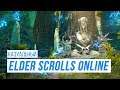 Казуальный Elder Scrolls Online c YamatoStrike 😼😺