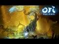 Uncharted Territory | Ori and the Will of the Wisps (Part 2)