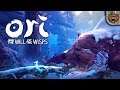 A montanha da NEVE | Ori and the Will of the Wisps #13 - Gameplay PT-BR