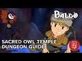 Baldo: The Guardian Owls - The Sacred Owl Temple Dungeon Guide (Complete)