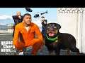 CHOP is in PRISON in GTA 5 (Epic Rescue Mission)