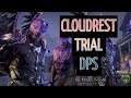 ESO Cloudrest Normal Trial Stamina Warden | PVE Review