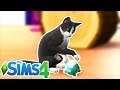 A HOUSE FULL OF PETS...WHAT COULD GO WRONG ?? | THE SIMS 4