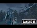 Days Gone (Ep.89) - There's Nothing You Can Do [Ending]