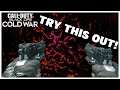 I Found the FUNNEST CLASS to Use In COLD WAR! Call of Duty Multiplayer!