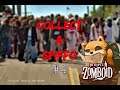 Project Zomboid CollectASpiffo #4