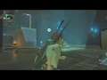 Breath of The Wild Challenge - The Priceless Maracas and Power of Electricity, Part 10