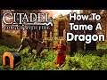 Citadel Forged With Fire HOW TO TAME A DRAGON