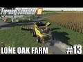FS19 - Lone Oak 2.0 | Harvesting Sunflowers | Timelapse #13 | Farming Simulator 19 Timelapse