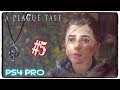 HatCHeTHaZ Plays: A Plague Tale: Innocence - PS4 Pro [Part 5] - 1080p