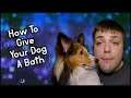 How To Give Your Dog A Bath | Pupdate #45 | MumblesVideos Dog Video