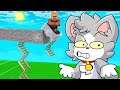 SECRETOS MINECRAFT 1.17 - Acenix