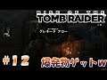 #12【アクションゲーム】「ライズ オブ ザ トゥームレイダー」【Rise of the Tomb Raider 】崩落しまくりの回