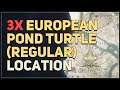 3x European Pond Turtle regular Location Assassin's Creed Valhalla