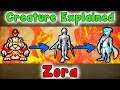 Legend Of Zelda - Zora Creatures EXPLAINED!