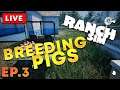 🔴 LIVE - EP3 Ranch Simulator - Turning Pigs in to Money 🐷💰