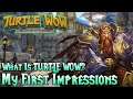 What is Turtle WoW? First Impressions