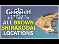 All Brown Shirakodai Fish Locations - Genshin Impact