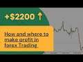 How and Where to make profit in Forex Trading