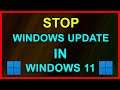 How to Disable Windows Updates in Windows 11 - Tutorial