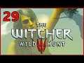 Koke Plays The Breathtaking Witcher 3 - Stream Vod - Episode 29