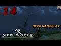 Let's Play NEW WORLD - Closed Beta - Part 14 - Warhammer Sword and Shield - Gameplay Walkthrough