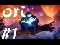 Ori and the Blind Forest [LET'S PLAY/PLAYTHROUGH/PC GAMEPLAY] - Part 1: I'm Broken Already