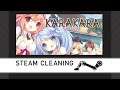 Steam Cleaning - KARAKARA
