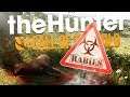 The Hunter Call Of The Wild | THERE IS A RABIES PROBLEM?! (CUATRO COLINAS)