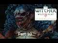 The Witcher 3 Wild Hunt in 4K UHD Playthrough Raw Footage Part 10