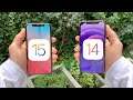 How to downgrade from iOS 15 to iOS 14?
