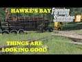 Hawke's Bay Ep 25     No rain, lots of money     Farm Sim 19