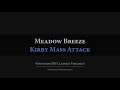 Kirby Mass Attack: Meadow Breeze Arrangement