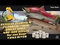 RUSSIAN FISHING 4 TUTORIAL NEW GREAT SPOT  400-600 Silvers for one hour YAMA RIVER