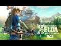 The Legend of Zelda : Breath of The Wild (23/33)