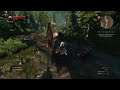 The Witcher's Strength