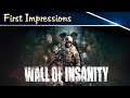 Wall of Insanity Gameplay - First Impressions