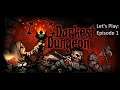 Let's Play Darkest Dungeon Episode 1: the stress of adventure