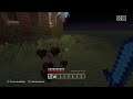Minecraft Illagers raided my small town