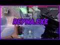 REYNA.exe