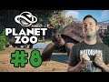 Sips Plays Planet Zoo Beta - (26/9/19)