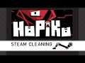 Steam Cleaning - HoPiKo