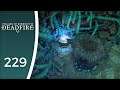 What has become of Llengrath? - Let's Play Pillars of Eternity II: Deadfire #229