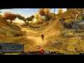 Guild Wars 2 (Eyes for Ears collection) - 16 Remember establish plausible deniability