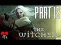 The Witcher | #12 | Agraelus | CZ Let's Play / Gameplay [1080p60] [PC]